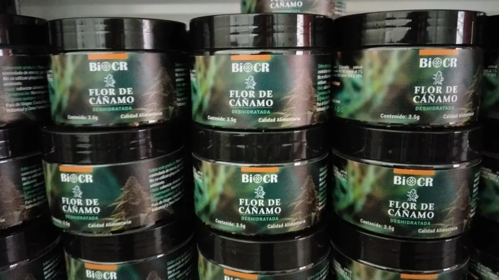 Flor de Cáñamo – Mountain Mango 3.5g